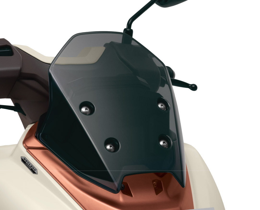 29_-_Smoked_Windscreen_69cbbab35a4c9.jpg